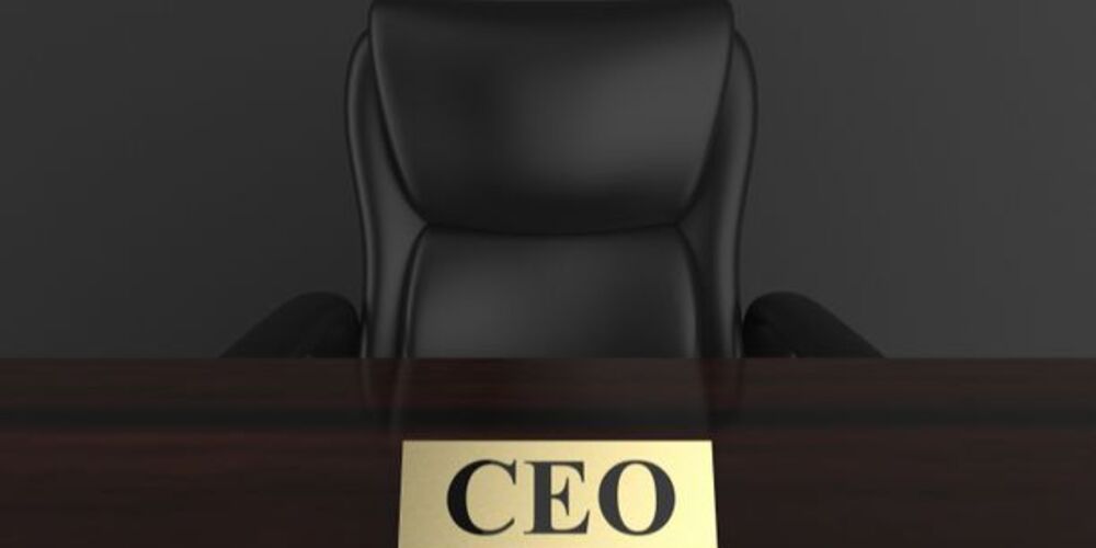 Interim Ceo